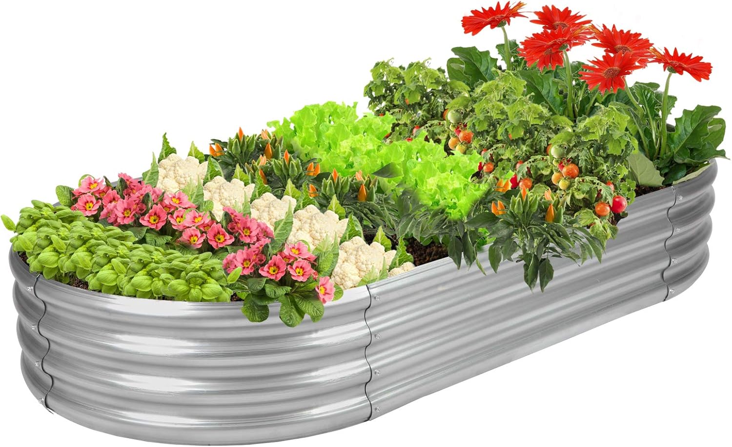 Rakukiri Raised Garden Bed GRS Certified Galvanized Planter Box Outdoor, 5ft Oval Rot-Resistant Metal Garden Bed Planter, Recycled Material Planter for Vegetables Flowers Herbs (Silver)