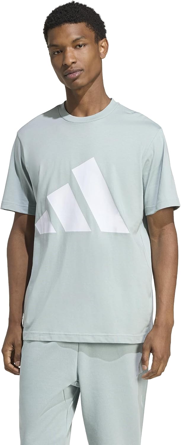 adidas Men's Essentials Big Logo T-Shirt, Wonder Sage/White, Medium